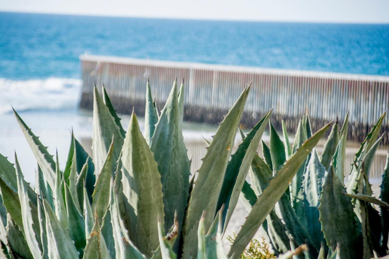 Beachfront Charming 1 Bdr 1 Bth Tijuana Eksteriør billede